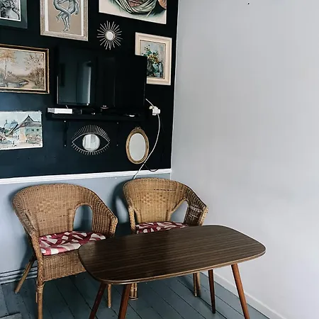 Sowa Loft 公寓 Zagórze Śląskie