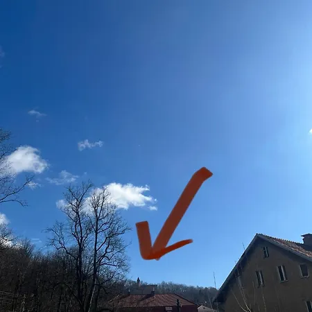 Sowa Loft * Zagórze Śląskie